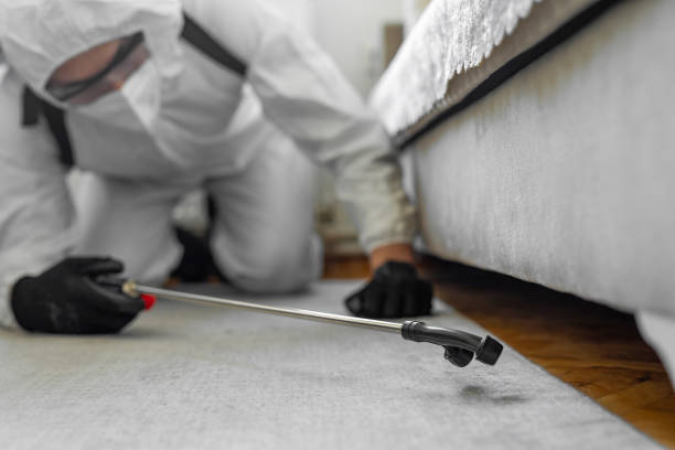 Professional Termite Control technician working in Langdon, ND