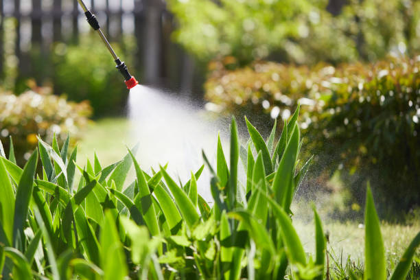 24/7 Emergency Termite Control experts in Langdon, ND